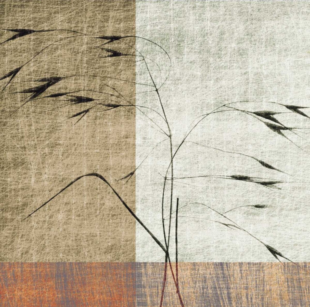 Botanica 8 Poster Print by Elizabeth Downing - Item # VARPDXED108W